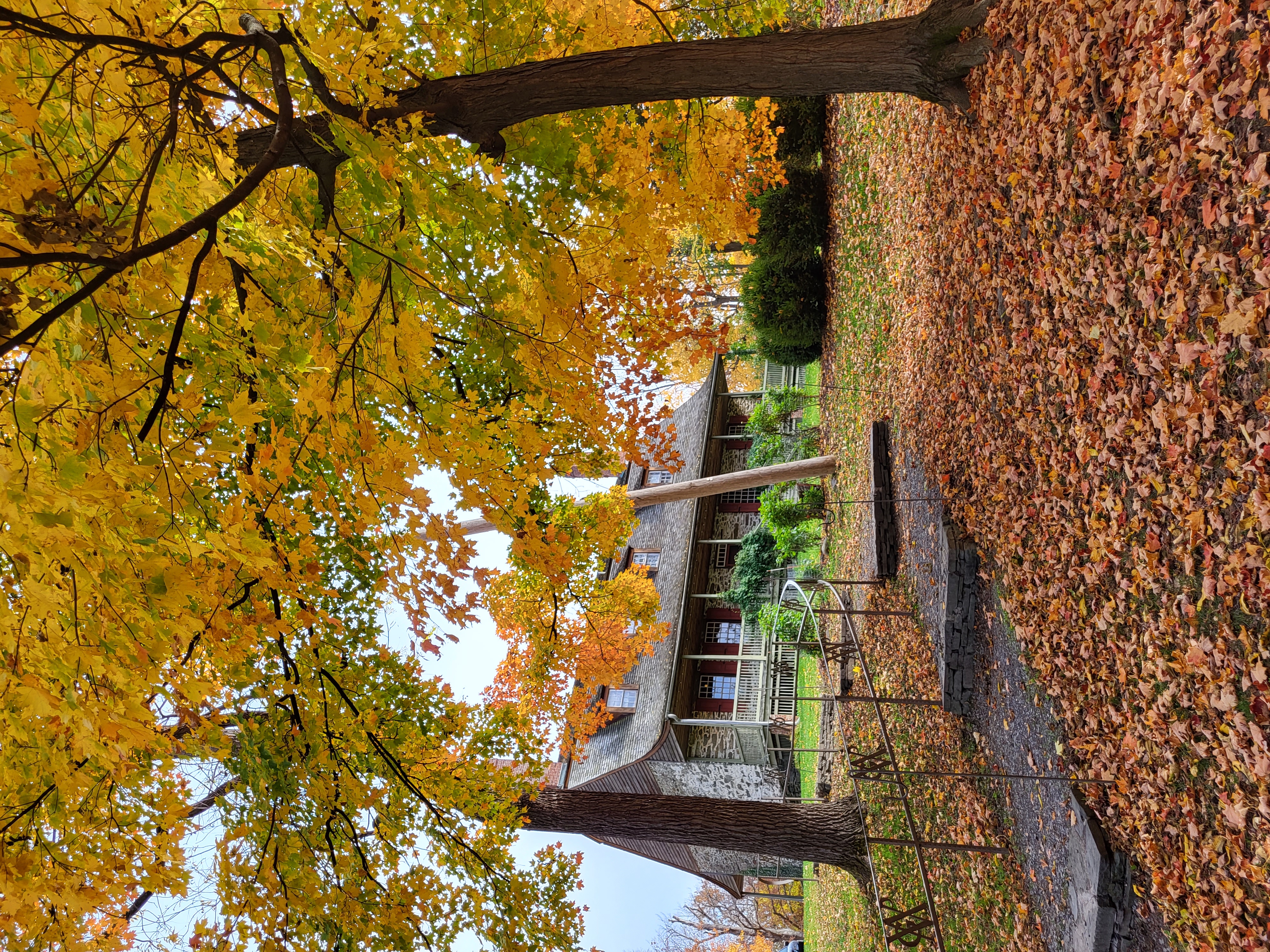 Interact With Indigenous Culture in Dutchess County