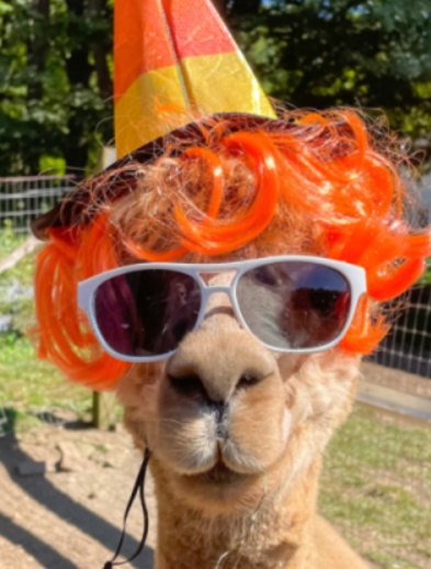 Halloween Frights and Delights in Dutchess