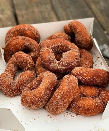 Top 10 Places to Get Cider Donuts in Dutchess